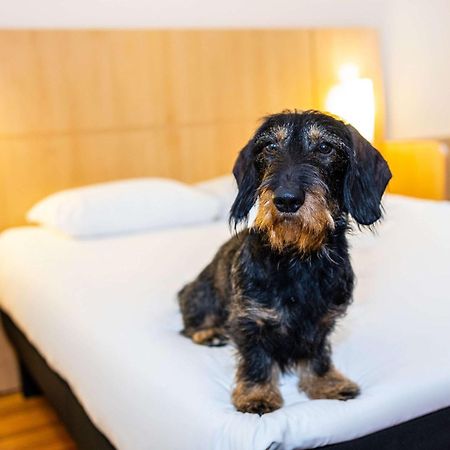 Ibis Antwerpen Centrum Luaran gambar