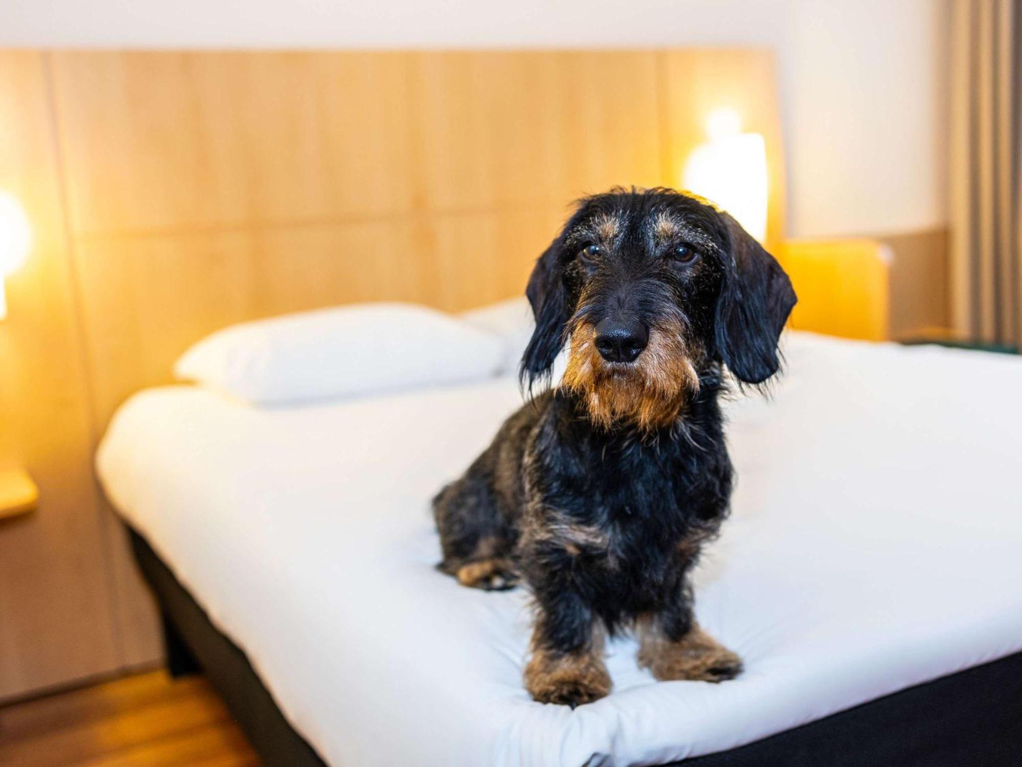 Ibis Antwerpen Centrum Luaran gambar